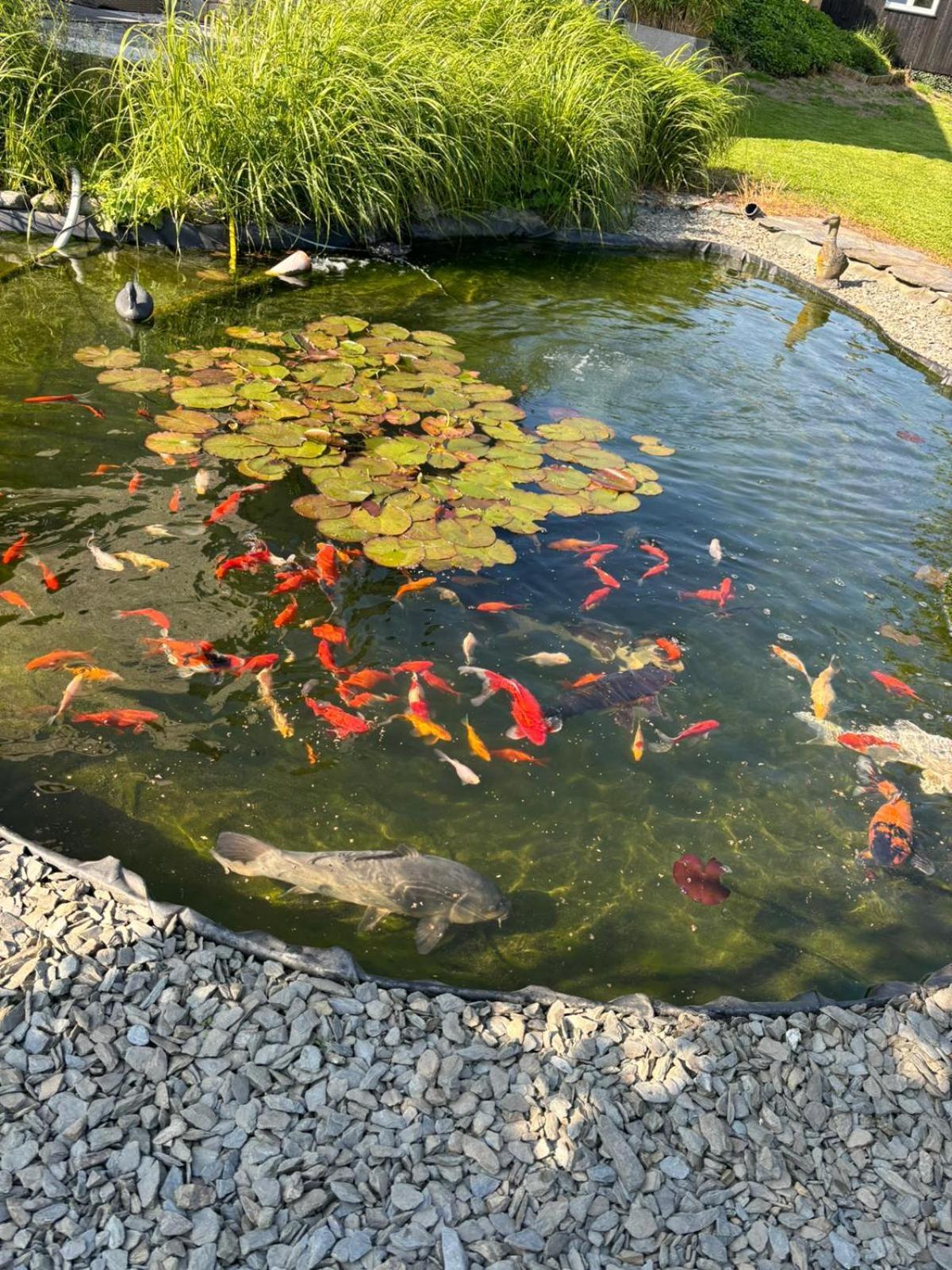 יאלהיי Le Clos Des Bansions מראה חיצוני תמונה